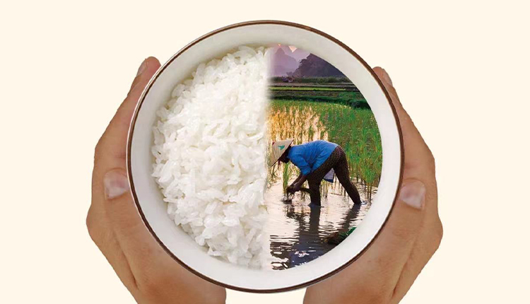 反對(duì)食品浪費(fèi)，崇尚節(jié)儉美德